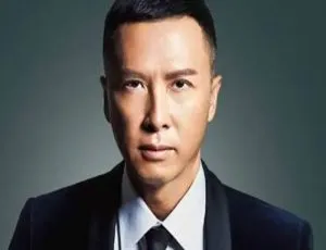 甄子丹46部高清影视作品合集-蓝海网
