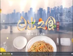 日出之食 全4集 1080P高清 国语配音中文字幕-蓝海网