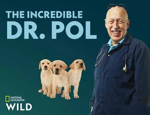 动物神医 The Incredible Dr.Pol 第五季全10集 1080P MKV 英语多国字幕 高清收藏版 25.9G