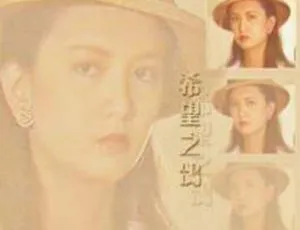 希望之鸽 1990年台湾经典剧情电视剧-蓝海网