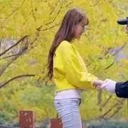 都市轻喜剧