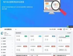 按天计费SEO系统搭建 高效精准推广程序