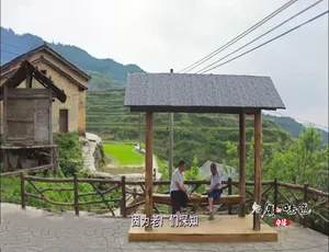 老广的味道第五季 全6集 1080P高清 国语中字