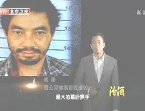 2012 BTV档案 缉毒重案录：跨国追凶湄公河惨案 720p HDTV x264
