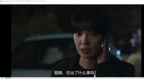 我背后的陶斯 苏志燮