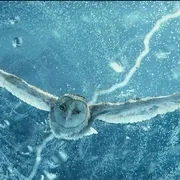 奇幻冒险动画高清