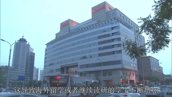 北上广求职趋势