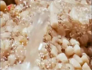 老广的味道第三季 全6集 国语中字 1080P高清纪录片-蓝海网