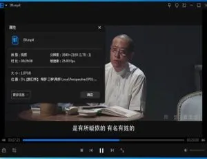 局部全三季高清4K：陈丹青脱口秀合集畅享-蓝海网