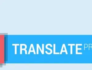 TranslatePress Pro多语言网站翻译插件-WordPress自动翻译工具-蓝海网