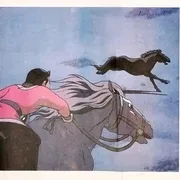 蒙古野马保护