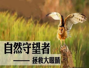 自然守望者第三季高清完整版