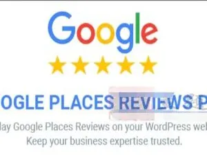 Google Places Reviews Pro 2.4.2中文汉化版-谷歌企业评分与评论WordPress插件-蓝海网