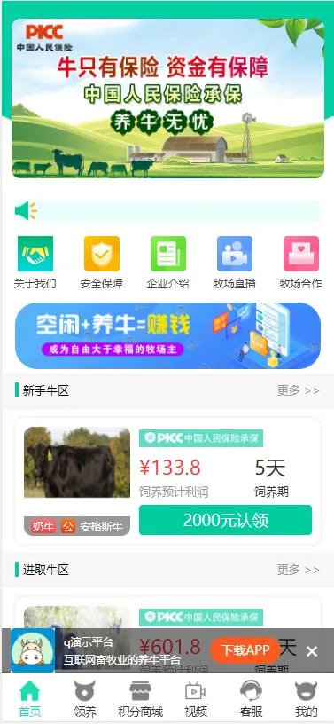 区块链养牛系统源码