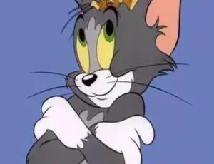 猫和老鼠 70周年经典动画全142集 国英双语中字 MKV版-蓝海网
