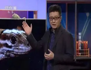 走近科学2008经典纪录片全集
