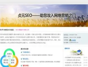 专业SEO服务公司官网模板