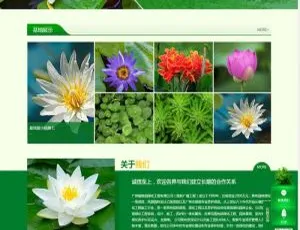 DedeCMS农业绿植景观企业网站模板 自适应移动端源码-蓝海网