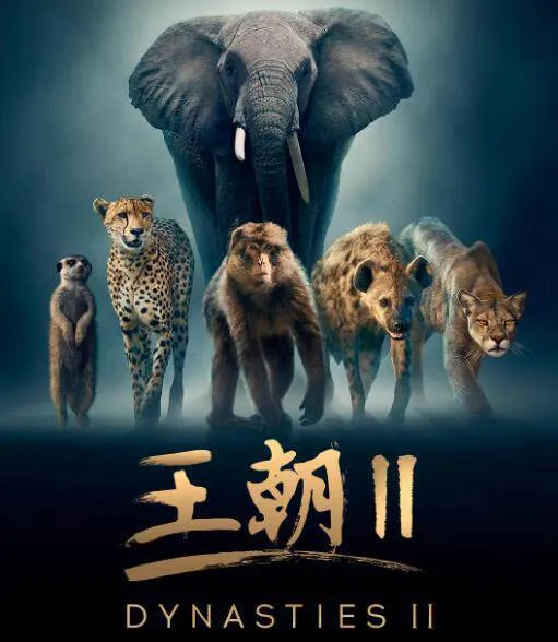 王朝第二季纪录片