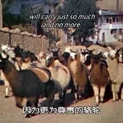 迪士尼奥斯卡提名动画纪录片