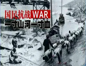一寸山河一寸血 2007版全41集 纪录片