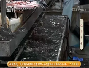 我爱发明纪录片 2021全90集 720P高清国语中字-蓝海网