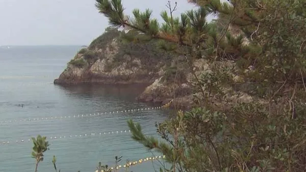 日本太地町海豚捕杀