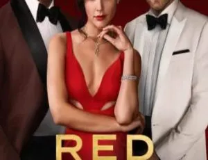 红色通缉令Red Notice 2021英语官方中字-蓝海网