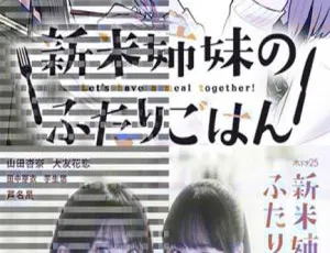 《新手姐妹的双人餐桌》2019日本治愈美食剧 全12集 日语中字 720P高清版