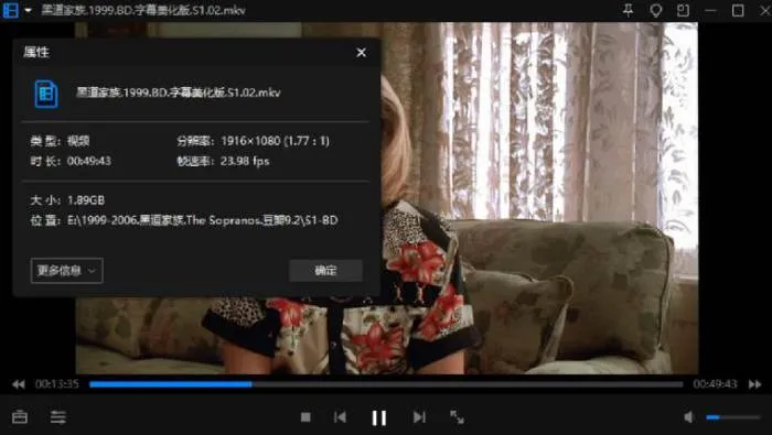 黑道家族全集下载