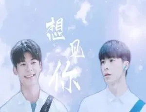 想见你2019 台版未删减全13集 含彩蛋国语繁体中字-蓝海网