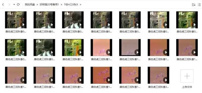 刘纬民 余安安