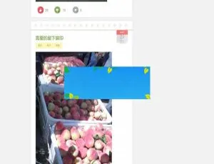 帝国CMS 92kaifa仿看热闹网 搞笑图片视频笑话合集 免费开源