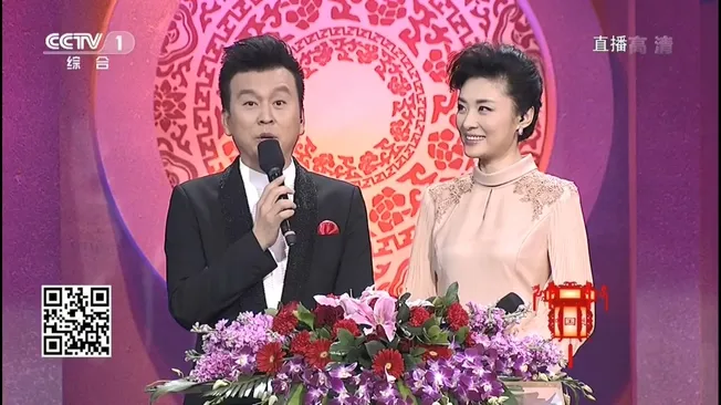 央视文化益智节目