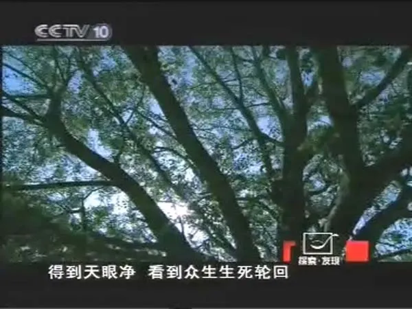 法门寺纪录片