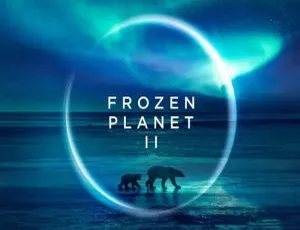 冰冻星球第二季 2022 更新至3集 英语原声 官方中文字幕-蓝海网