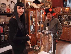 旧金山暗黑杂货店纪录片第2季1080P高清全集中字