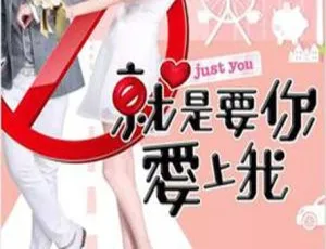 台湾2013剧情剧 就是要你爱上我 全集高清-蓝海网