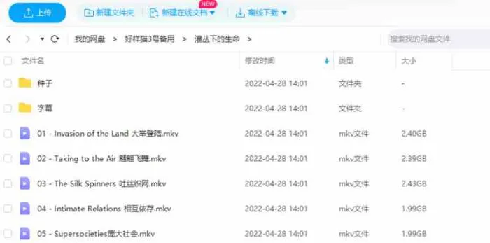 自然探索纪录片在线观看