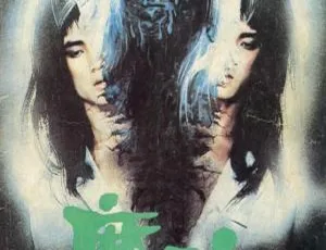 1983中国香港恐怖电影 魔胎 吕秀菱主演 国粤双语简繁字幕
