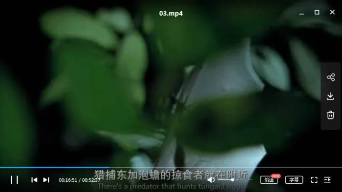 BBC Netflix自然纪录片