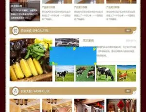 古典中国风旅游民宿农家乐网站模板 移动端自适应-蓝海网