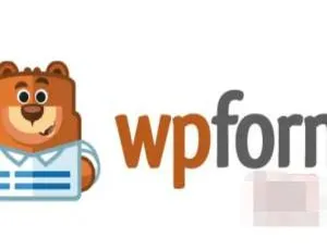 WPForms Pro 中文版：拖放表单设计插件 WordPress高效建站工具-蓝海网