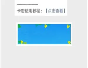 VIP卡密助手1.0.5 原版源码