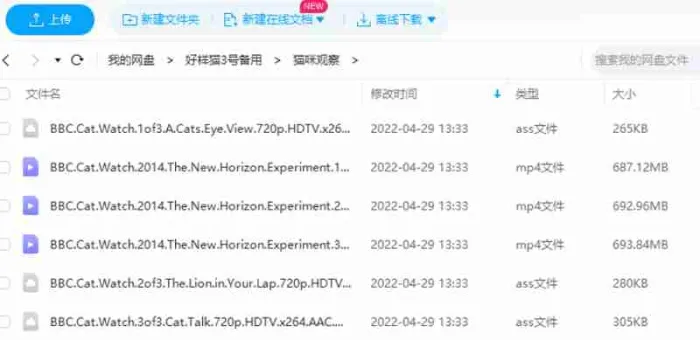 家猫生物力学研究