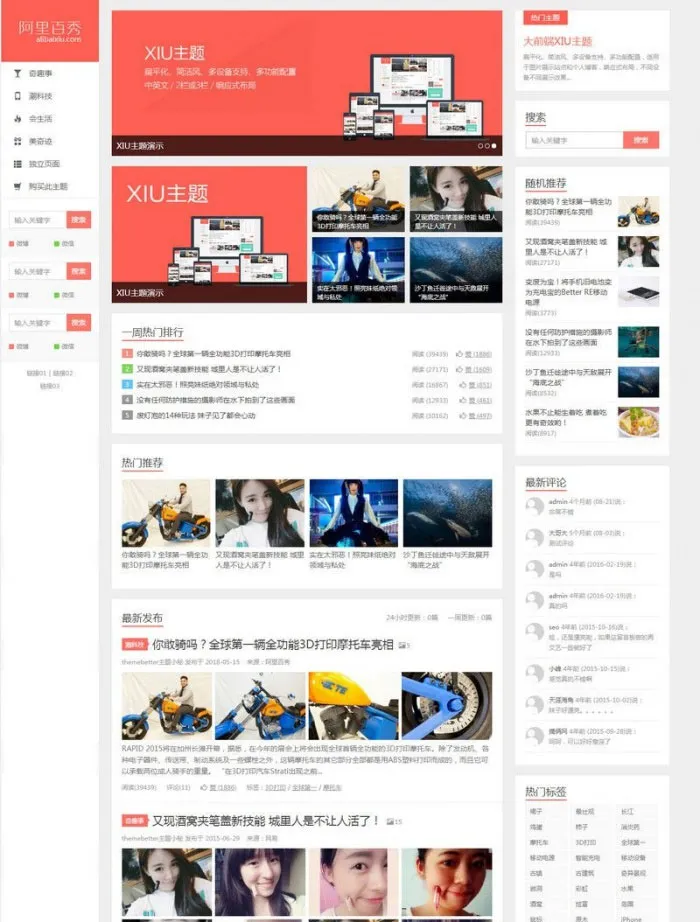 SEO优化建站主题