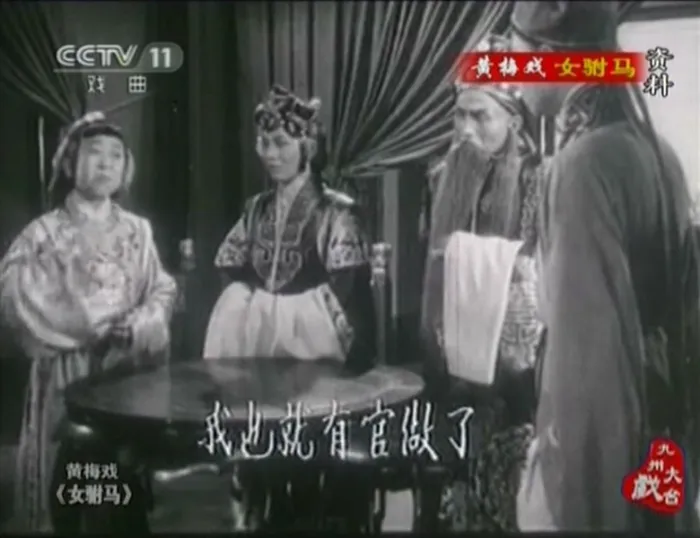 黄梅戏经典戏曲片