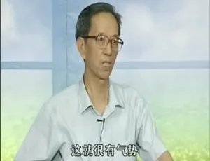 2001年中国百家讲坛面对缪斯女神 钱绍武欧阳中石主讲 24集国语中字 3.48G典藏版-蓝海网