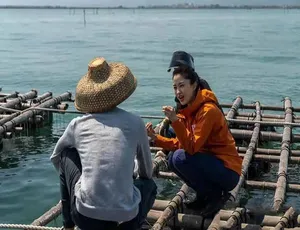 远方的家行走海岸线 55-72集高清全纪录