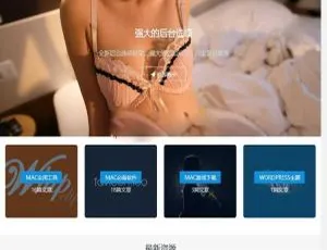 WordPress日主题Rizhuti3.2免费企业建站源码-蓝海网